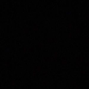 Meet your Posher, Shayla